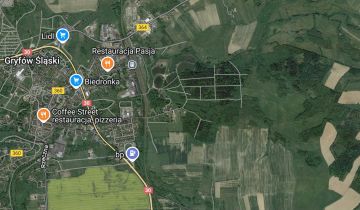dom wolnostojący, 6 pokoi Gryfów Śląski, ul. Oldzańska
