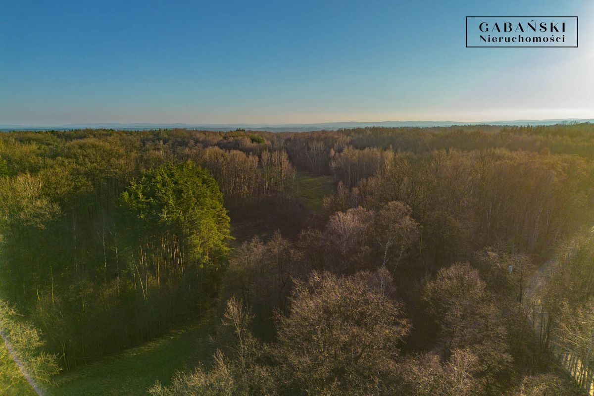 Działka budowlana Zaczarnie. Zdjęcie 6