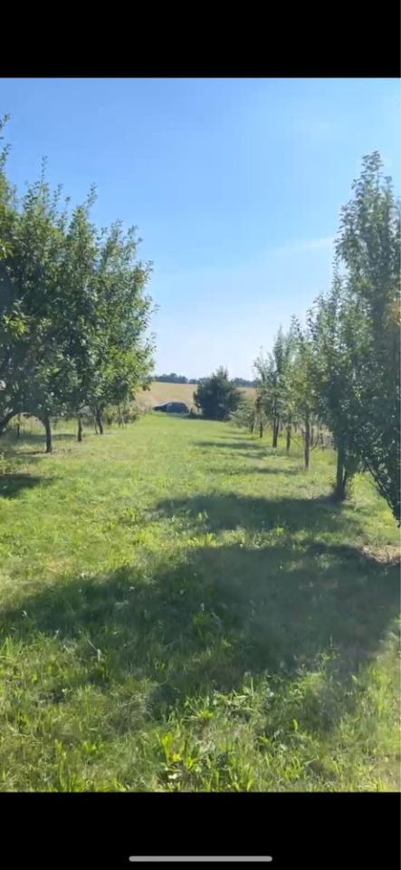 Działka rolna Głogów. Zdjęcie 2