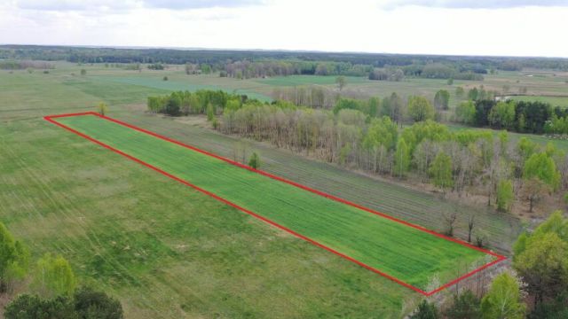 Działka rolno-budowlana Cieciory. Zdjęcie 2