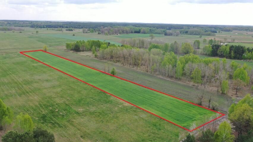 Działka rolno-budowlana Cieciory. Zdjęcie 2