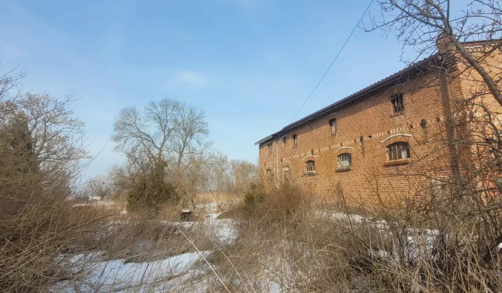 Działka siedliskowa Gdańsk Sobieszewo, ul. Dulkowa