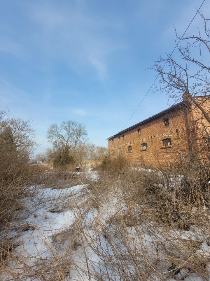 Działka siedliskowa Gdańsk Sobieszewo, ul. Dulkowa. Zdjęcie 1