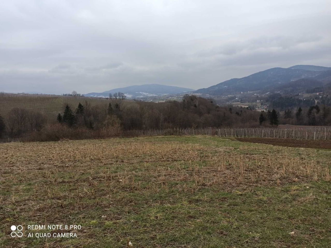 Działka rolno-budowlana Krzesławice. Zdjęcie 4