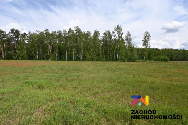 Działka budowlana Świdnica Łochowo. Zdjęcie 3