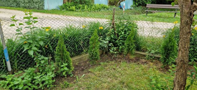 Działka rod Słomin. Zdjęcie 1