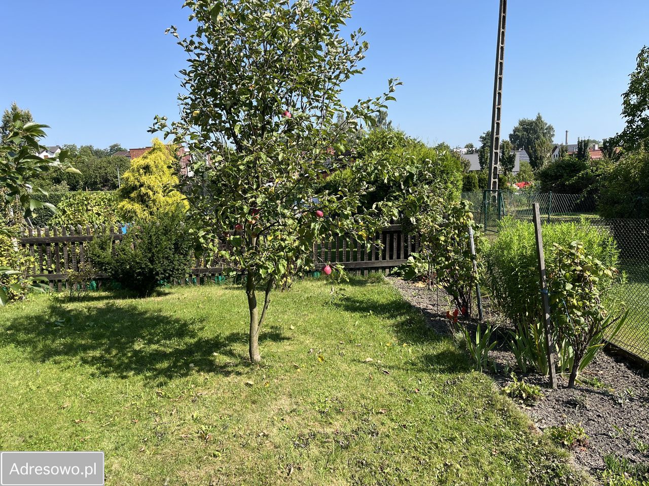 Działka rod Mikołów, ul. Jasna