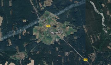 Lokal Trzebów