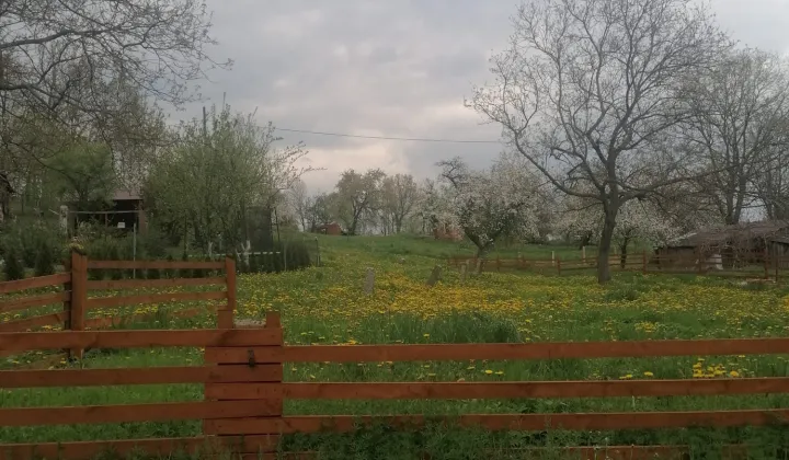 Działka rolno-budowlana Stare Rochowice, Stare Rochowice