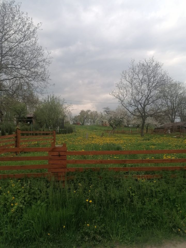 Działka rolno-budowlana Stare Rochowice, Stare Rochowice. Zdjęcie 1