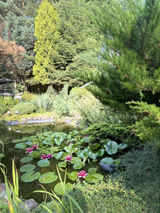 Działka rod Prawda. Zdjęcie 4