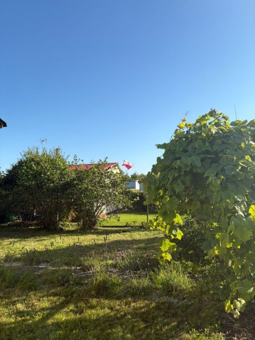 Działka rod Gdańsk Rębiechowo, ul. Nowatorów. Zdjęcie 7