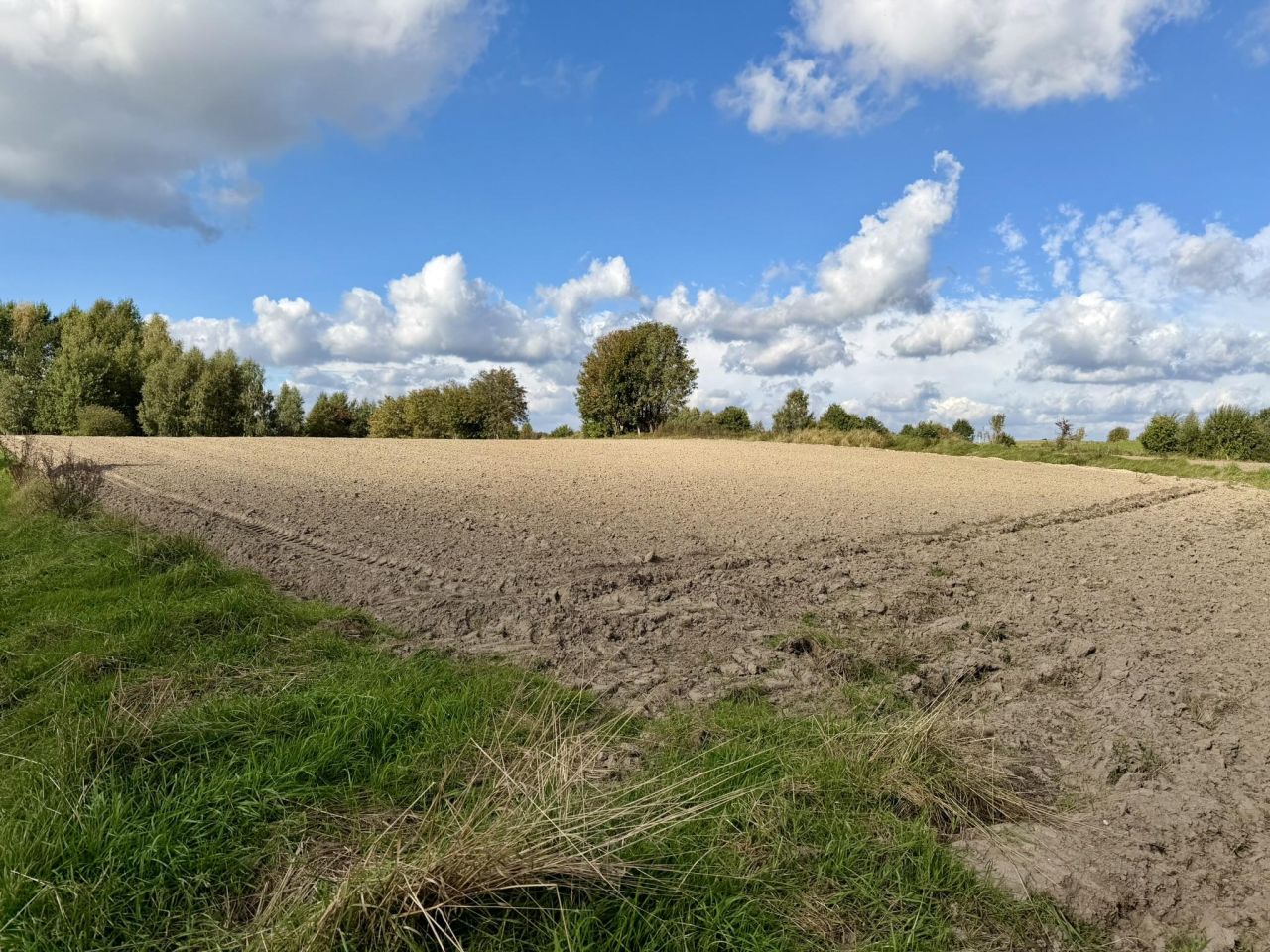 Działka rolno-budowlana Kolonia, Kolonia. Zdjęcie 2