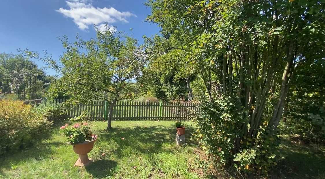 Działka rod Lubin. Zdjęcie 2