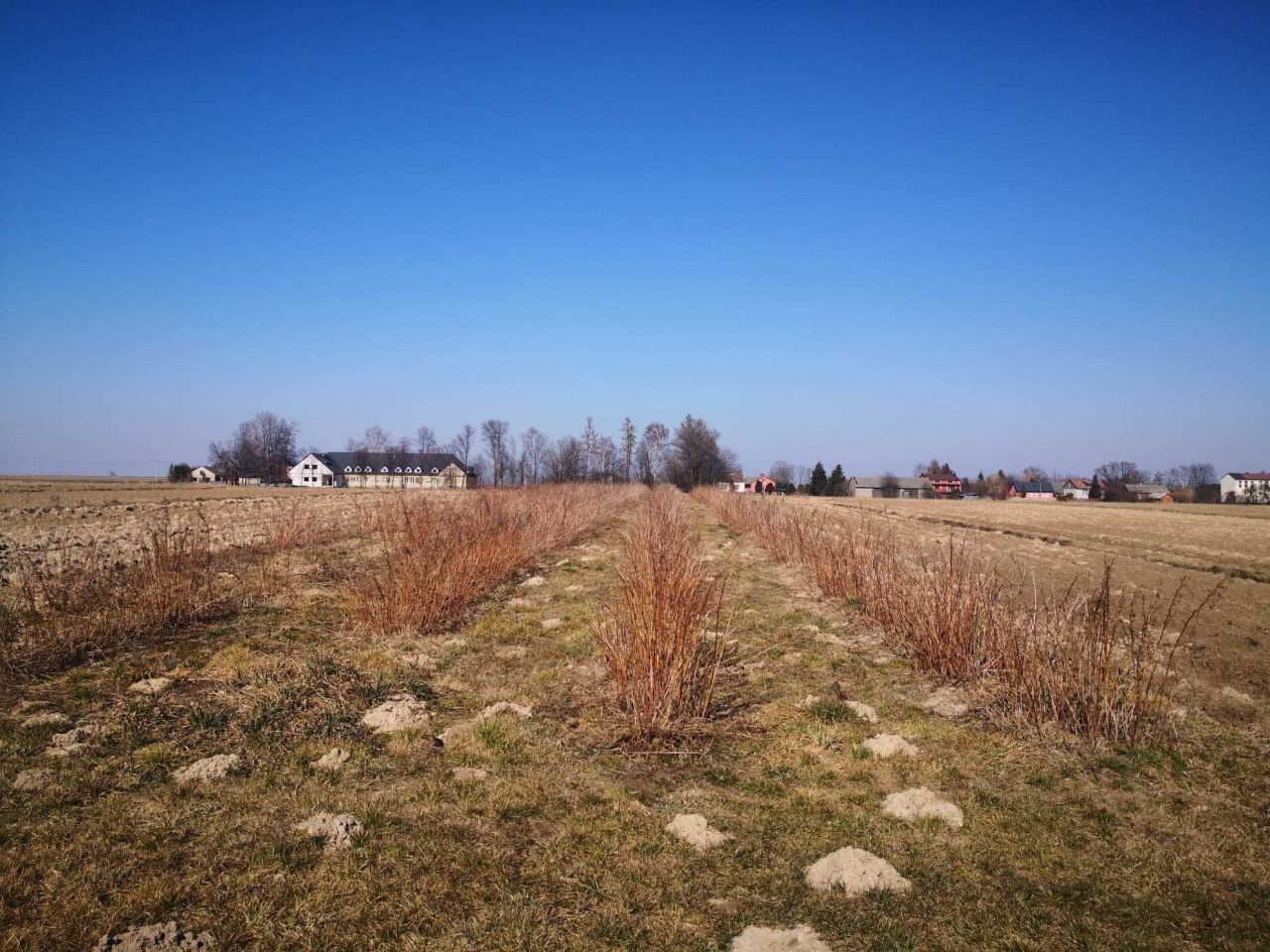 dom wolnostojący Witów. Zdjęcie 6