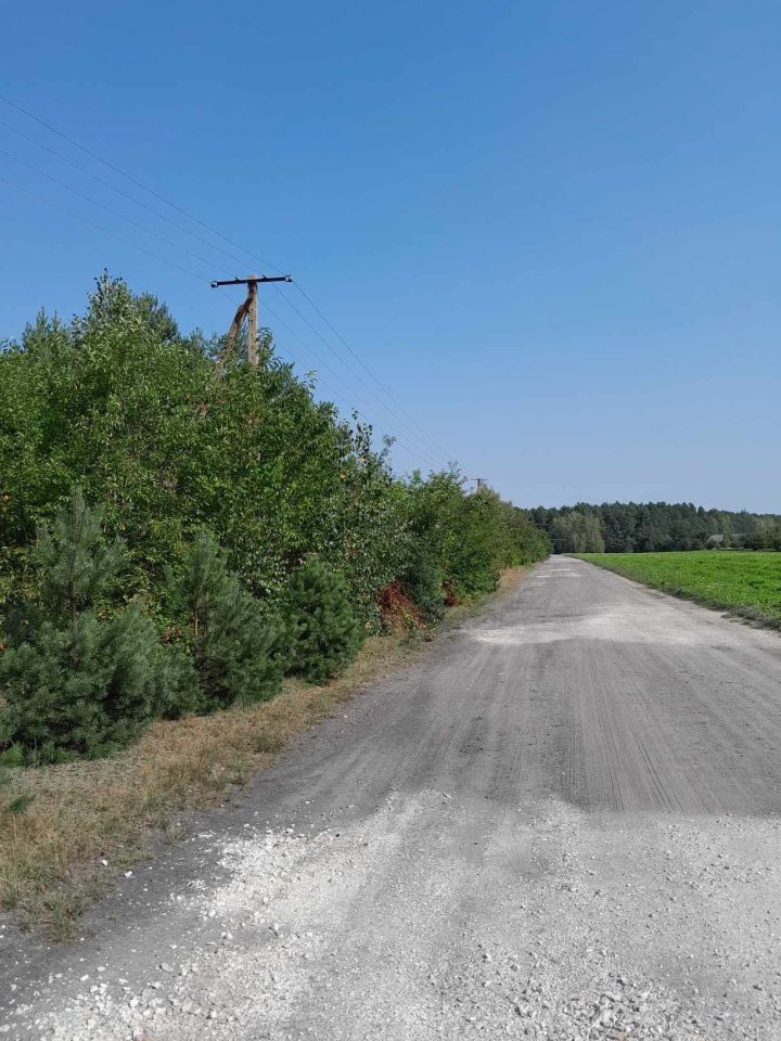 Działka rolno-budowlana Gucin. Zdjęcie 5