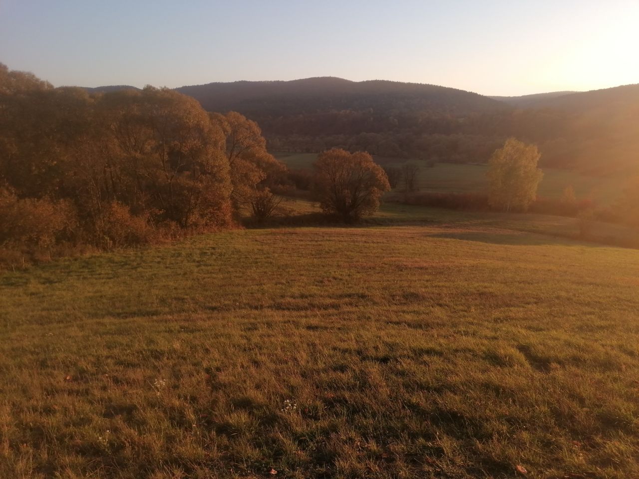 Działka rekreacyjna Rybotycze. Zdjęcie 15