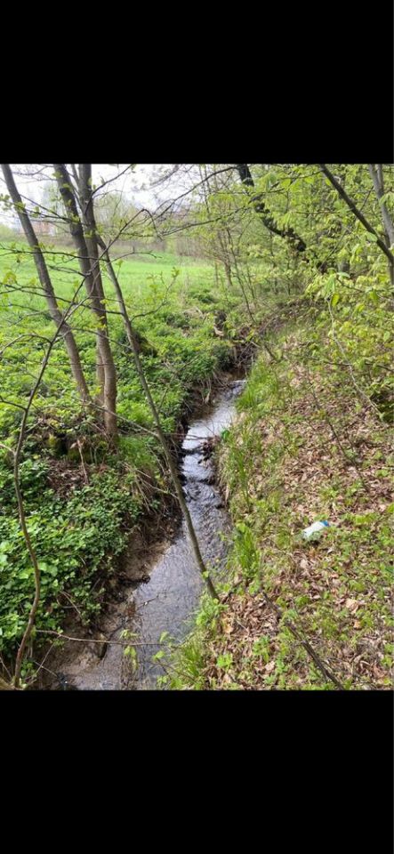 Działka siedliskowa Zagorzyce. Zdjęcie 2