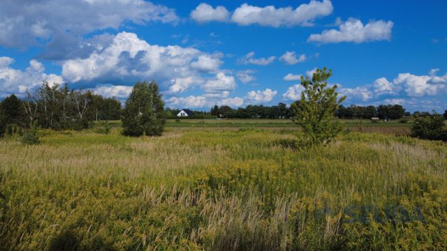 Działka inwestycyjna Myszczyn, ul. Zaborowska. Zdjęcie 7
