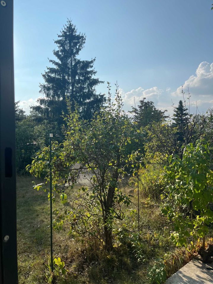 Działka rod Warszawa Wawer. Zdjęcie 6