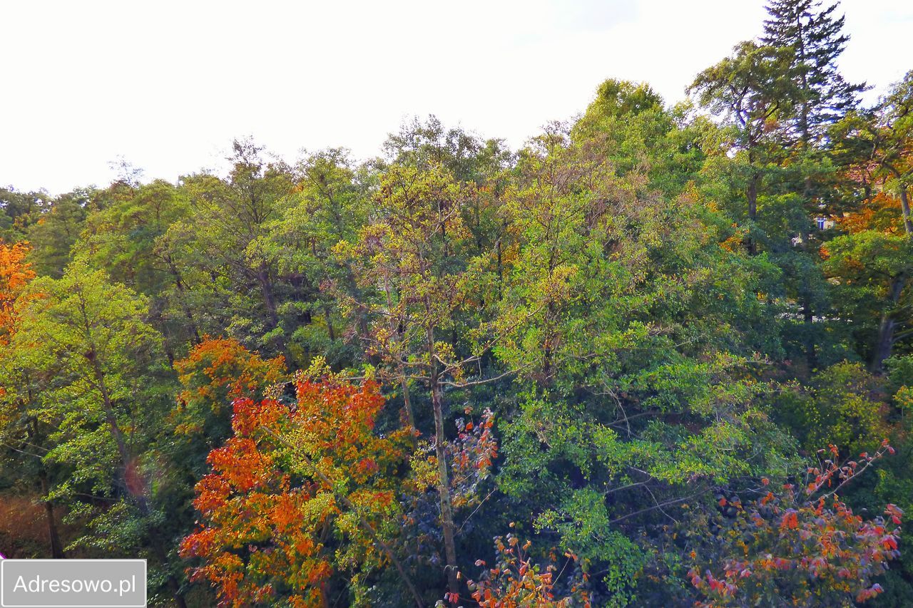 Mieszkanie 2-pokojowe Gorzów Wielkopolski Śródmieście, ul. kard. Stefana Wyszyńskiego. Zdjęcie 12