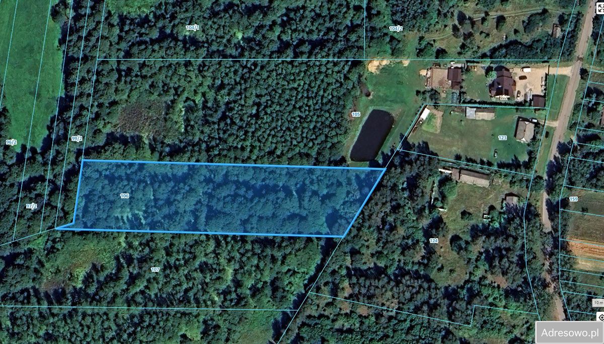 Działka leśna Stoczek Kocki Skrawki. Zdjęcie 3