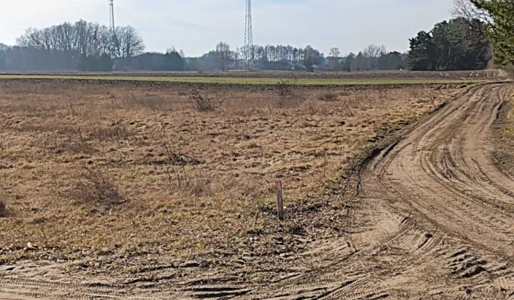 Działka budowlana Niekursko