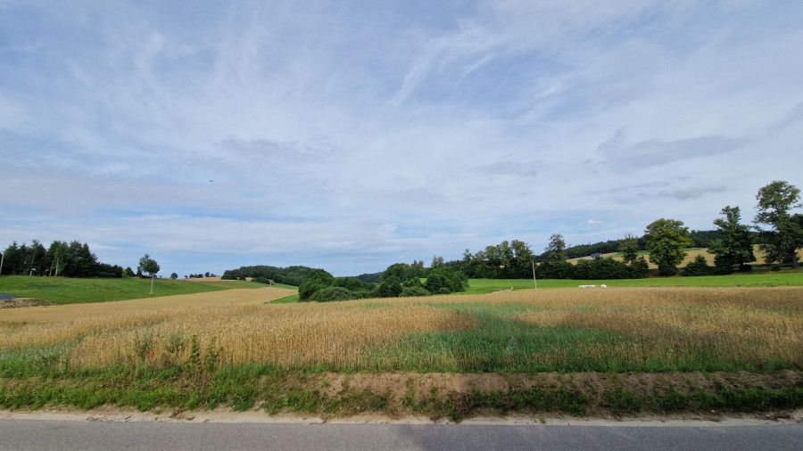 Działka budowlana Kczewo, ul. Dolna