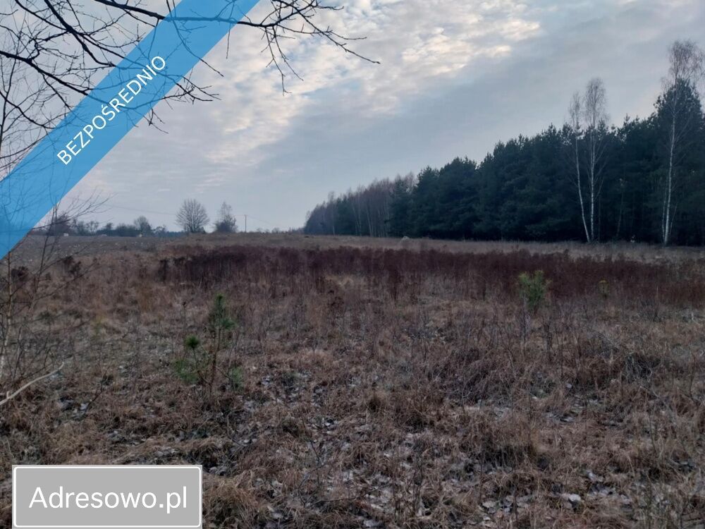 Działka rolna Marysin. Zdjęcie 10