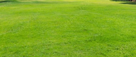 Działka budowlana Wołomin, ul. Nowa Wieś. Zdjęcie 1