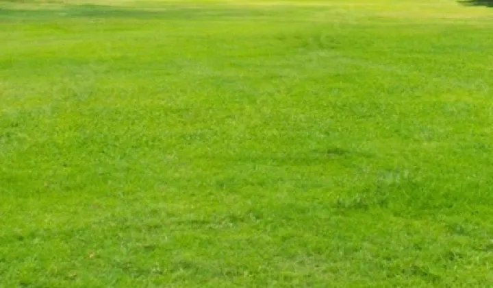 Działka budowlana Wołomin, ul. Nowa Wieś