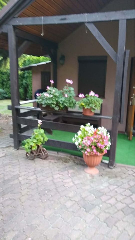 Działka rod Zgierz. Zdjęcie 2