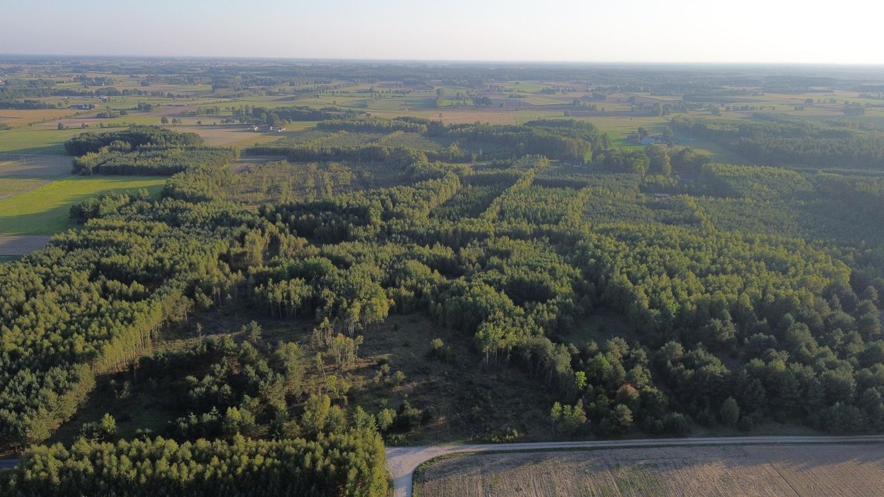 Działka rolno-budowlana Boguchwała. Zdjęcie 15