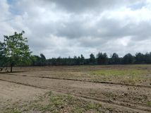 Działka rolna Krzyżówka, ul. Zarzeczna. Zdjęcie 3