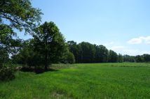 Działka rolna Ochaby Małe Bagna. Zdjęcie 3