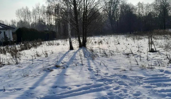 Działka budowlana Cerekiew, ul. Radosna