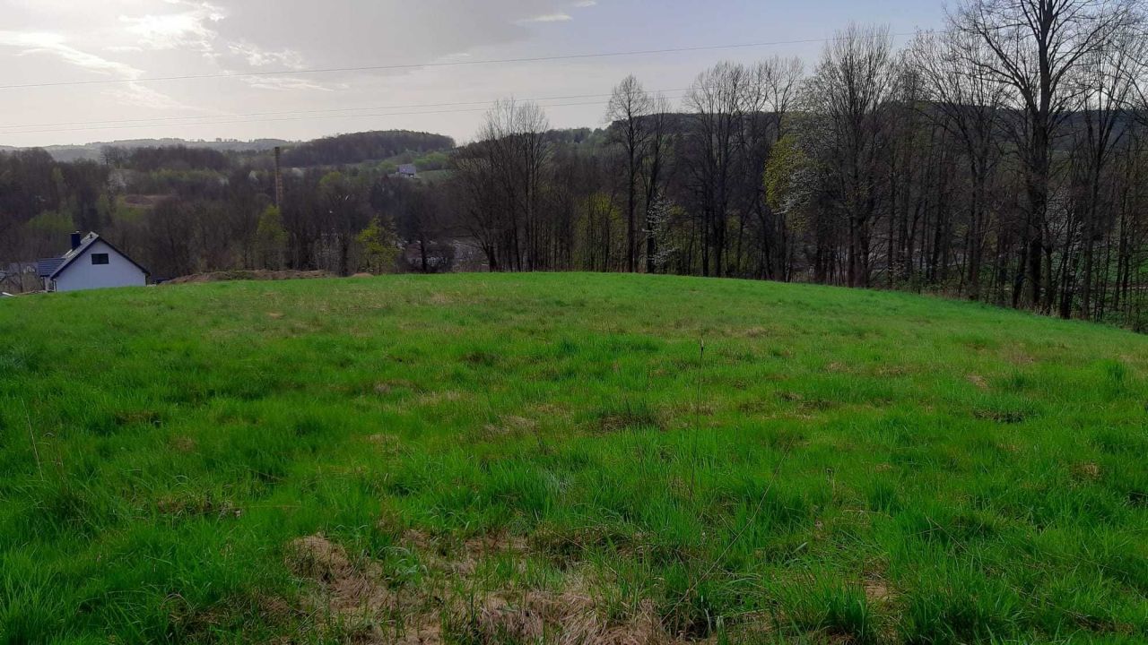 Działka budowlana Miłoszów. Zdjęcie 2