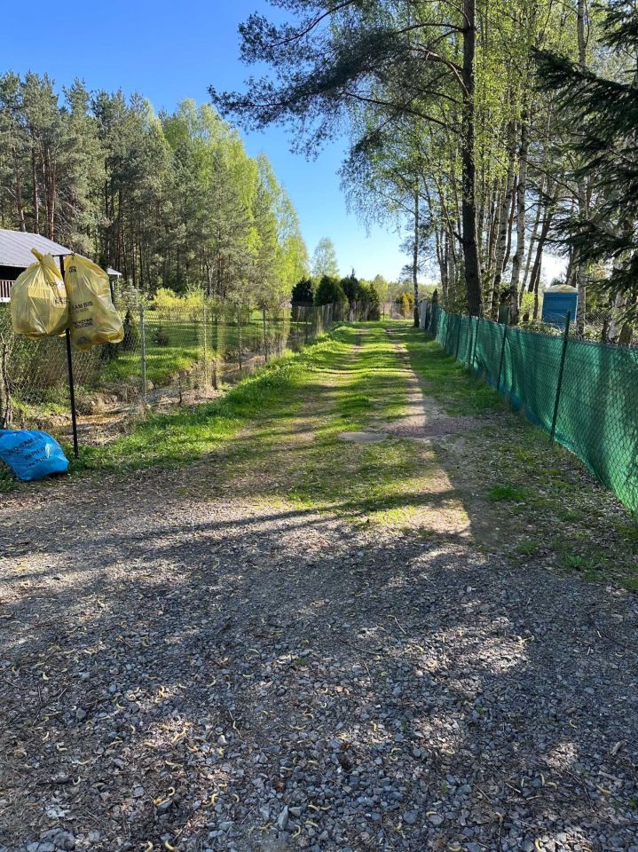 Działka rolna Borków. Zdjęcie 5