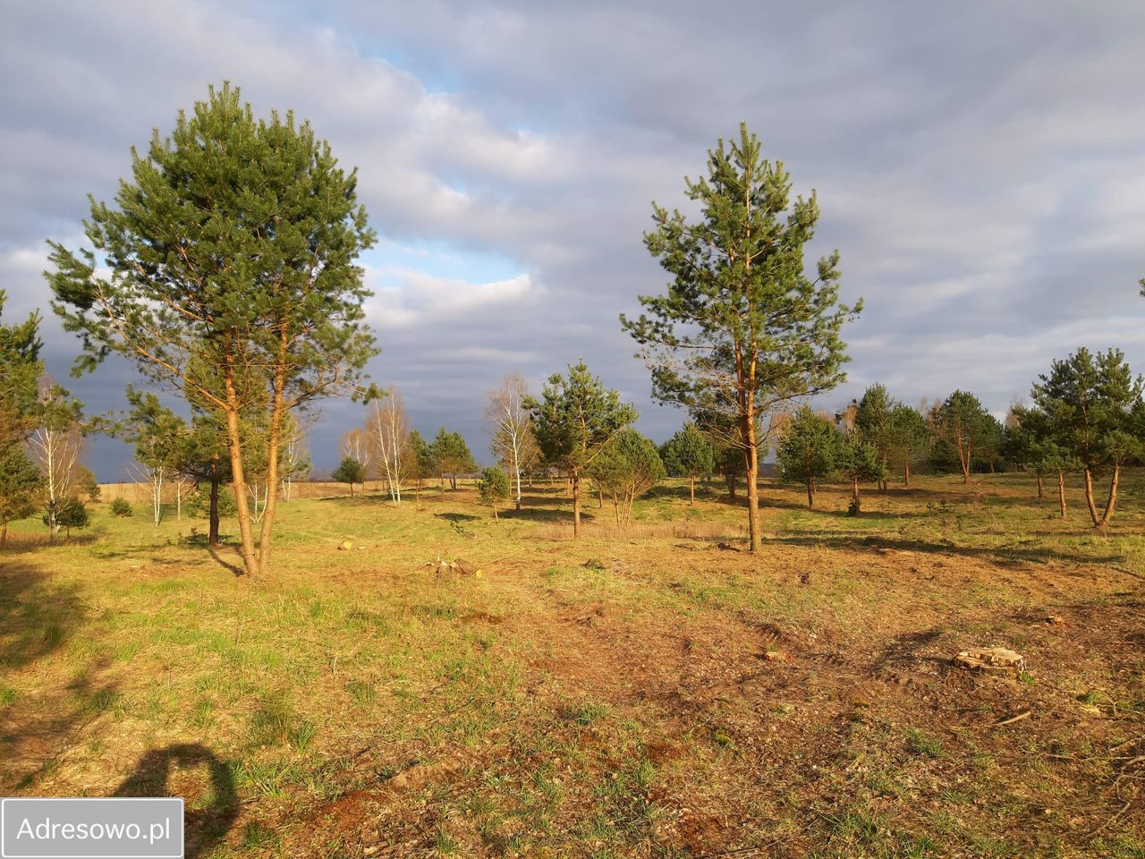Działka budowlana Pojezierce. Zdjęcie 20