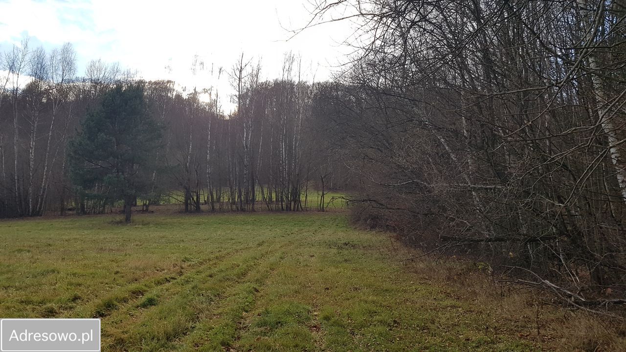 Działka inwestycyjna Bóbrka. Zdjęcie 2