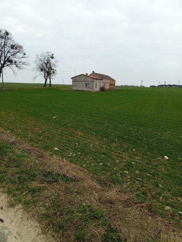 dom wolnostojący Lisewo. Zdjęcie 1