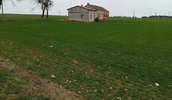 dom wolnostojący Lisewo