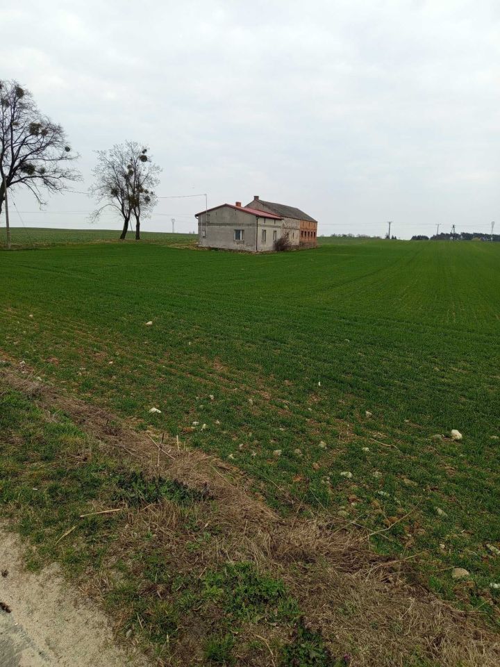 dom wolnostojący Lisewo. Zdjęcie 1