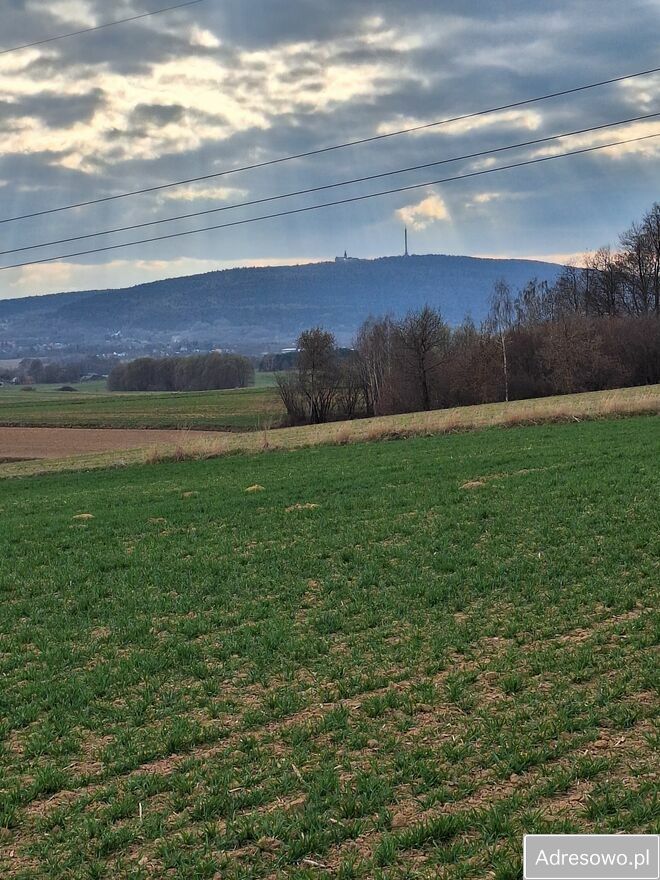 Działka rolna Grzegorzowice. Zdjęcie 2