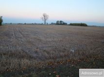 Działka rolno-budowlana Pątnów. Zdjęcie 2