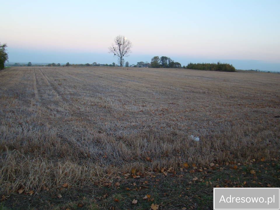 Działka rolno-budowlana Pątnów. Zdjęcie 3