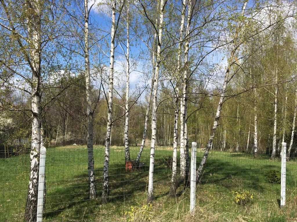 Działka budowlana Księginice Małe Przemiłów. Zdjęcie 3