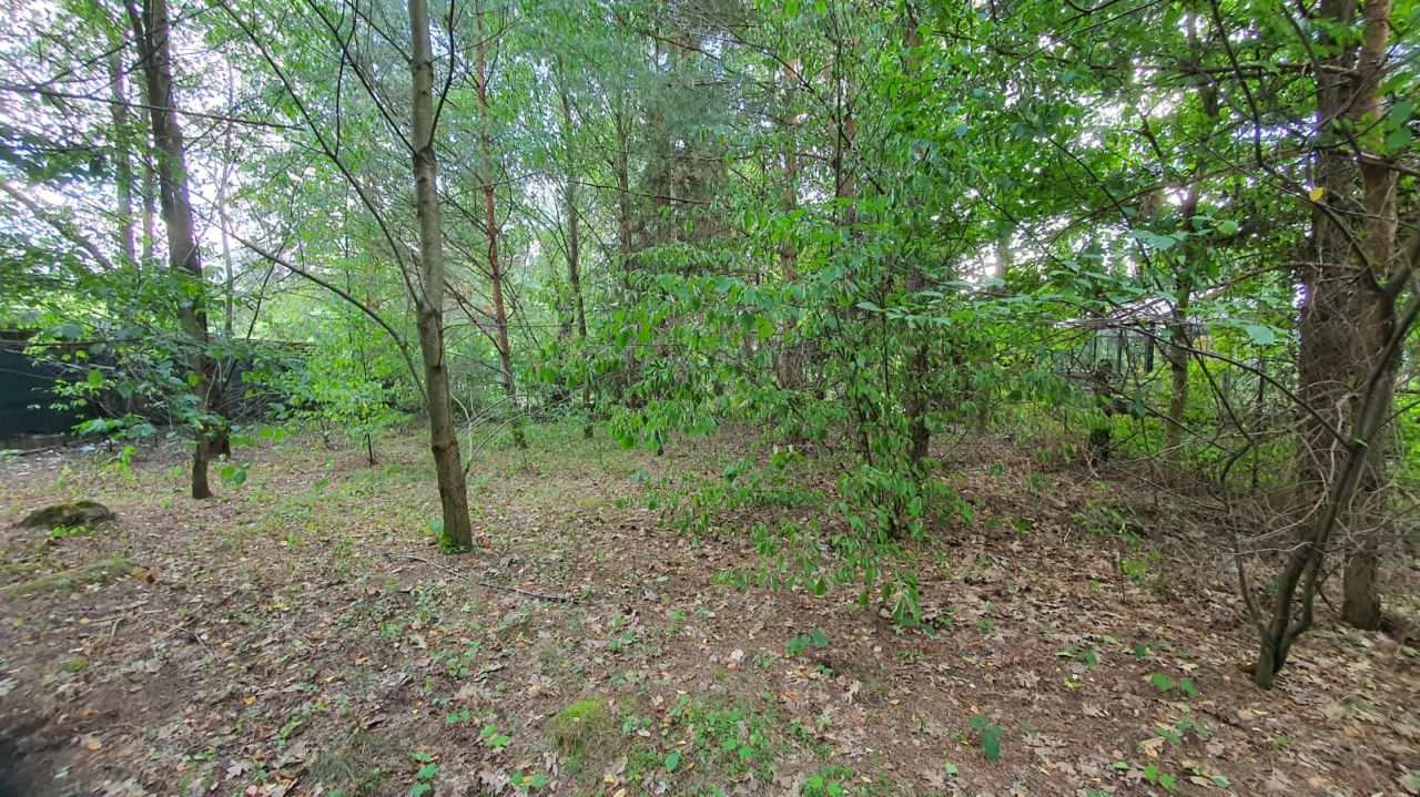 Działka rekreacyjna Orchówek, ul. Tęczowa. Zdjęcie 2