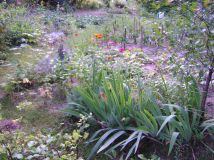 Działka rod Lublin Szerokie, ul. Nałęczowska. Zdjęcie 3