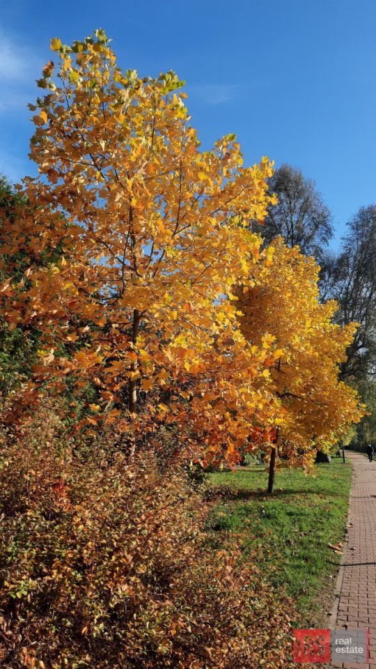 Mieszkanie 3-pokojowe Warszawa Bielany, ul. Gwiaździsta. Zdjęcie 16